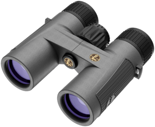 Leupold BX-4 Pro Guide HD 8x32mm Binoculars in Gray